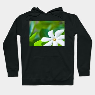 Tiare Tahiti Hoodie